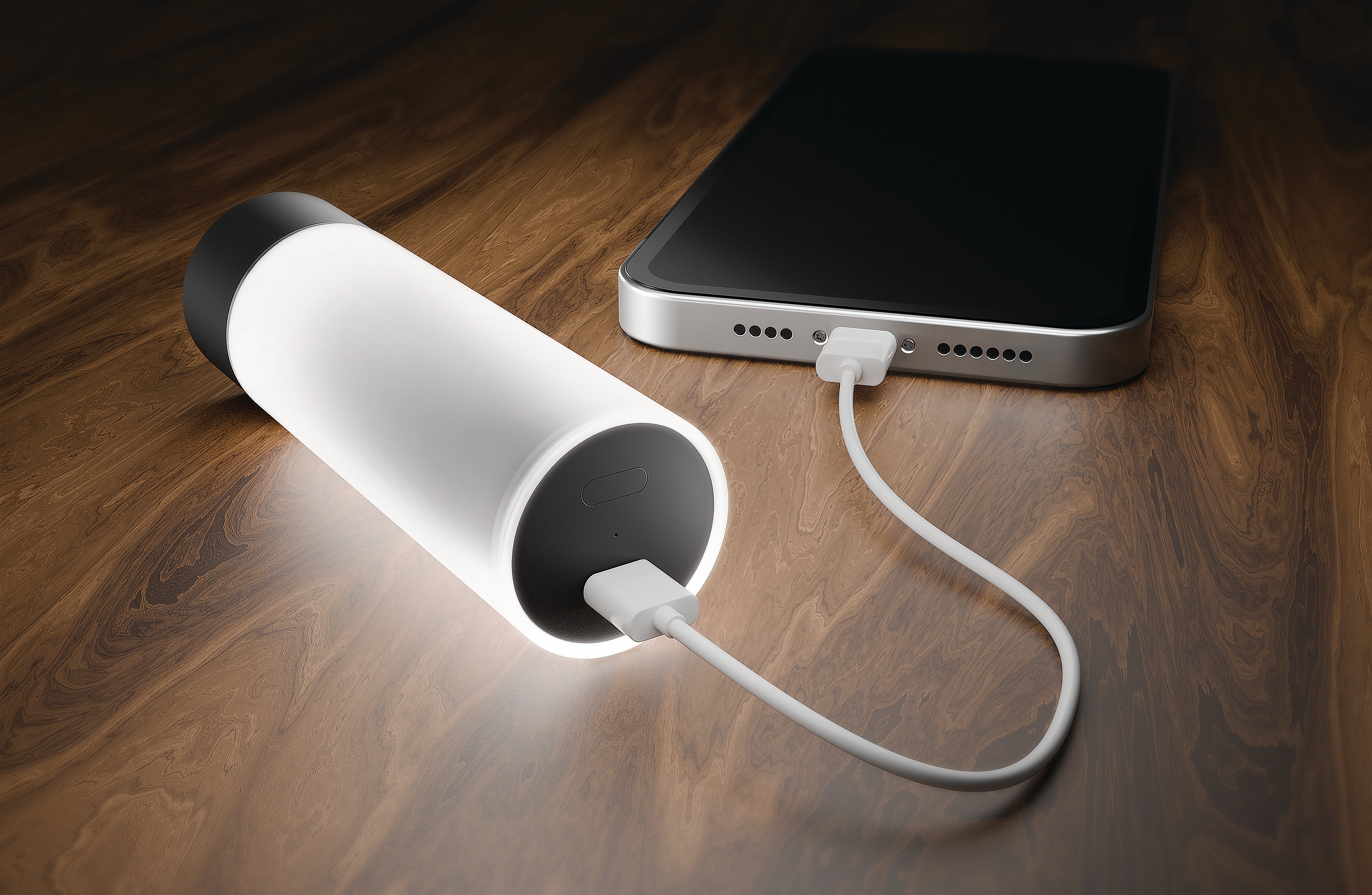 CHARGE & GLOW LED POWER BANK