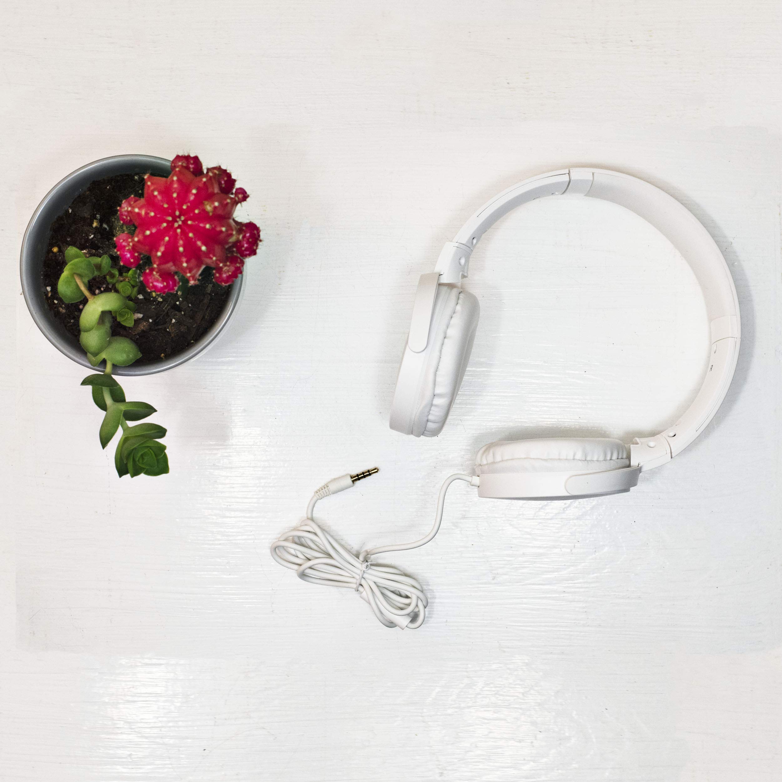 Magnavox MHP5026M-WH Stereo Headphones